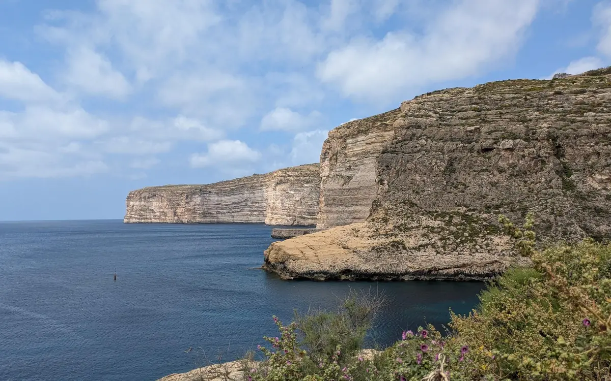 Geschichtete Kalksteinklippen, die auf Gozo ins tiefblaue Wasser abfallen, davor wilde Blumen